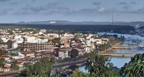 Photo of Bahia registra primeira morte por febre Oropouche