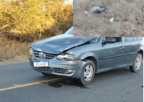 Photo of Tragédia: “Guigui” morreu atropelado na região