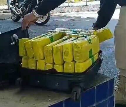 Photo of Vídeo: Polícia encontra mala recheada de maconha em Conquista