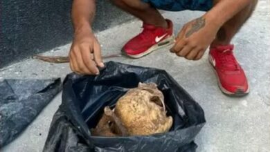 Photo of Homem é preso por roubar ossadas de cemitério