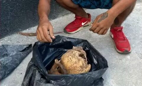 Photo of Preso por roubar ossadas em cemitério conta que preparou feijão com carne humana
