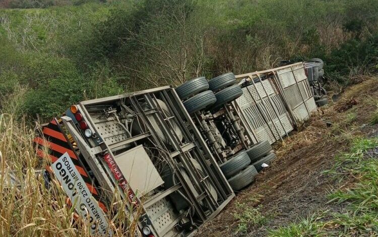 Photo of Região: Caminhoneiro morre em grave acidente na BR-116