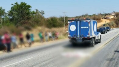 Photo of Tristeza: Dona Lucimar morreu atropelada na BA-262