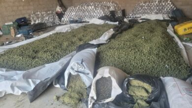 Photo of Região: Megaoperação apreende mais de 2 toneladas de maconha dentro de galpão