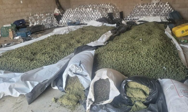 Photo of Região: Megaoperação apreende mais de 2 toneladas de maconha dentro de galpão