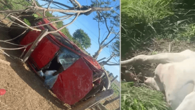 Photo of Região: Grave acidente com idosos feridos