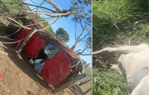 Photo of Região: Grave acidente com idosos feridos