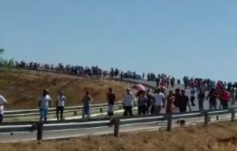 Photo of Região: Homem sai para caminhar, é atacado por abelhas e vai parar no hospital